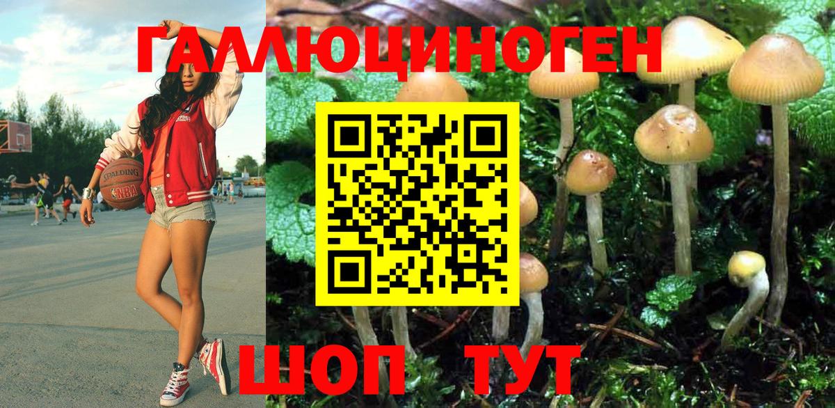 Галлюциногенные грибы ЛСД  Вход с VPN  Киселёвск 