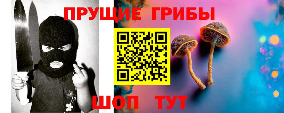 Галлюциногенные грибы Magic Shrooms Киселёвск